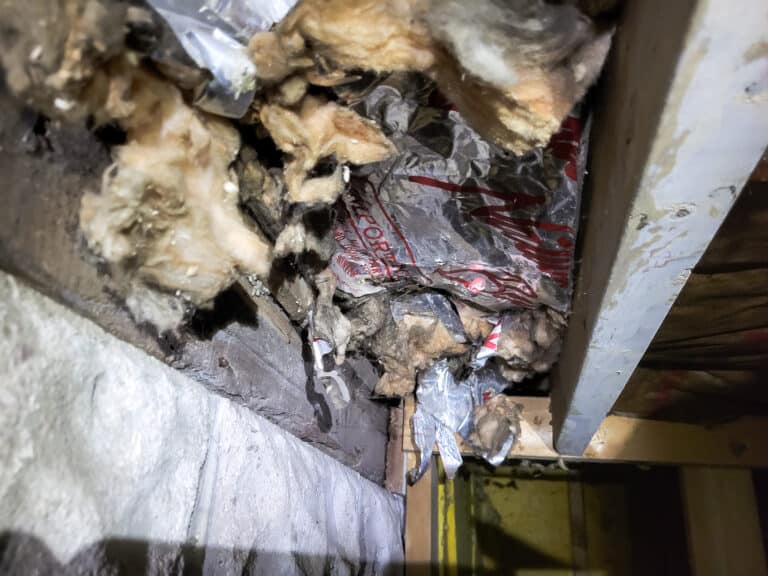 moldy, failing insulation removal by attis insulation